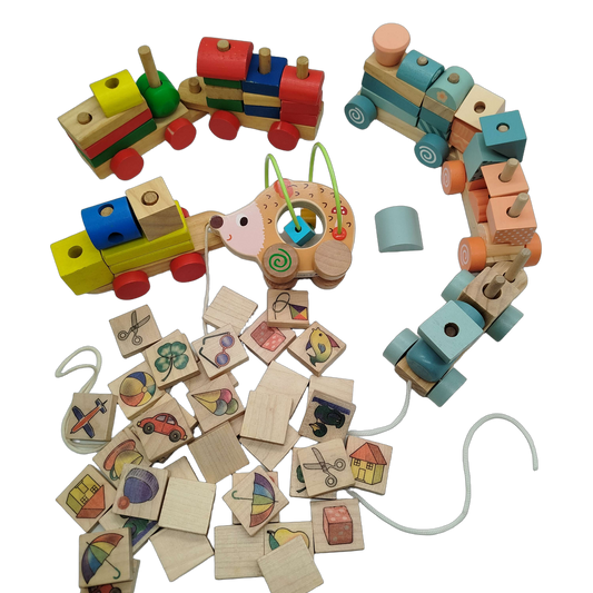 Bundle Holzklötze Set Bausteine & Ziehigel
