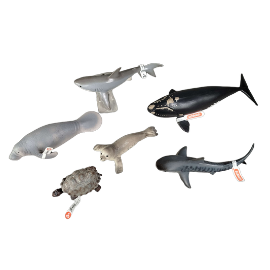 Schleich Bundle Meerestiere 6 Teile Tierfiguren