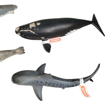 Schleich Bundle Meerestiere 6 Teile Tierfiguren
