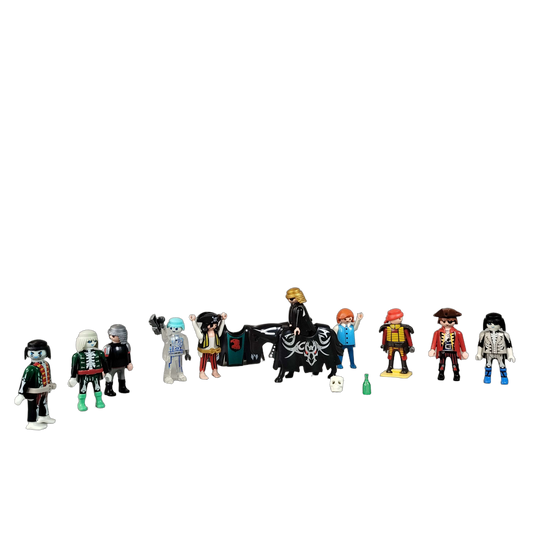 Playmobil Bundle Piraten & Fantasy Figuren & Pferd