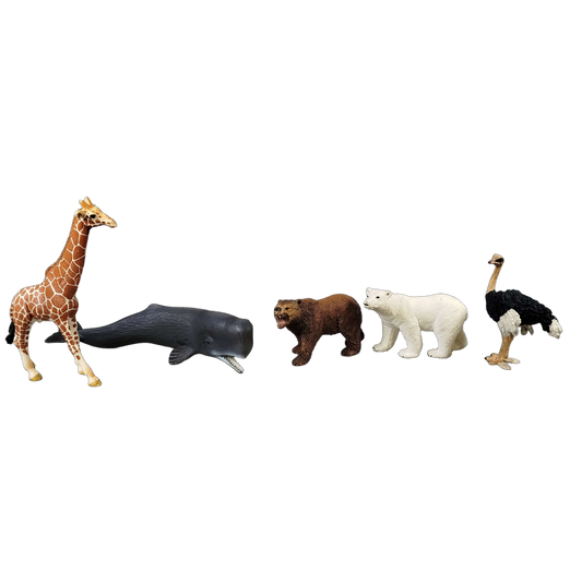 Schleich Tiere Bundle Wildtiere 5 Teile Tierfiguren
