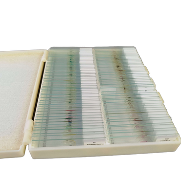 MAXLAPTER Biological Specimen 100 Mikroskop-Präparate Set Biologie