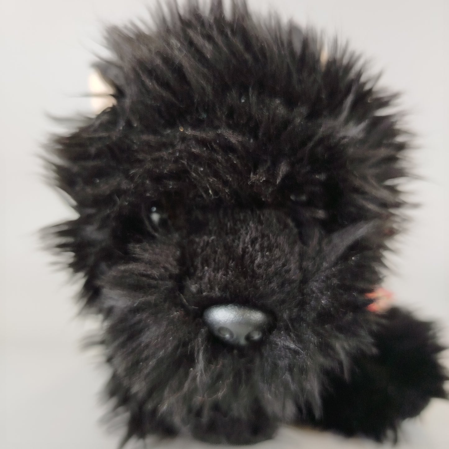 8er Plüschtiere Set – Bären, Wildtiere, Marienkäfer, gemischt