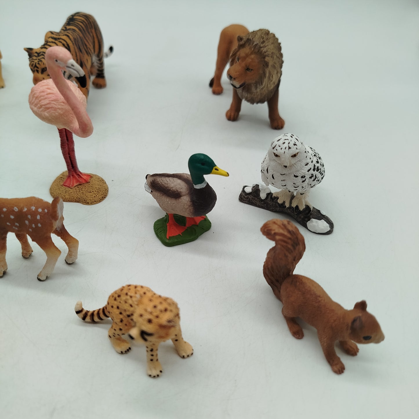 Schleich Bundle Set von 13 Tierfiguren, gebraucht, ab 3 4 5 Jahre | ✅ geprüft