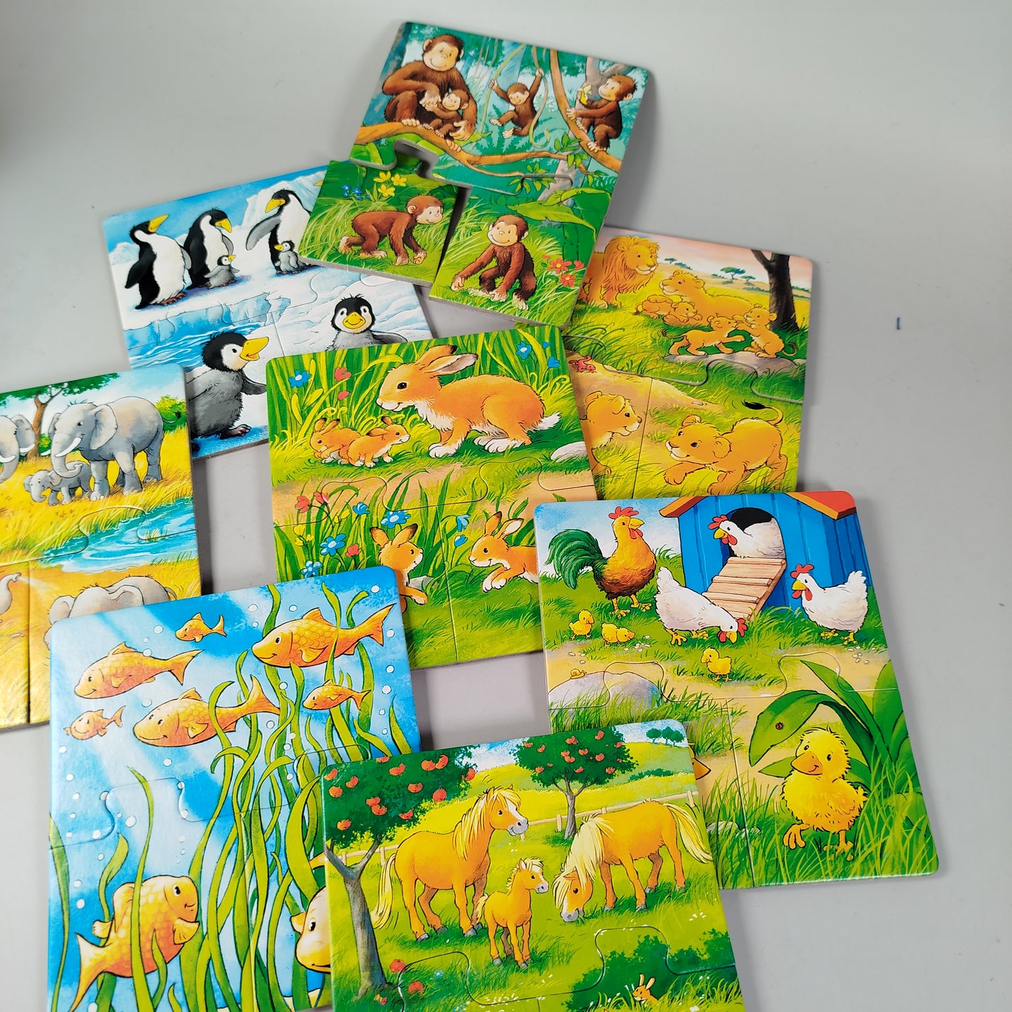 Ravensburger Spiele- und Puzzle-Bundle: Bewegung, Pinguin-Strategie & Tierpuzz