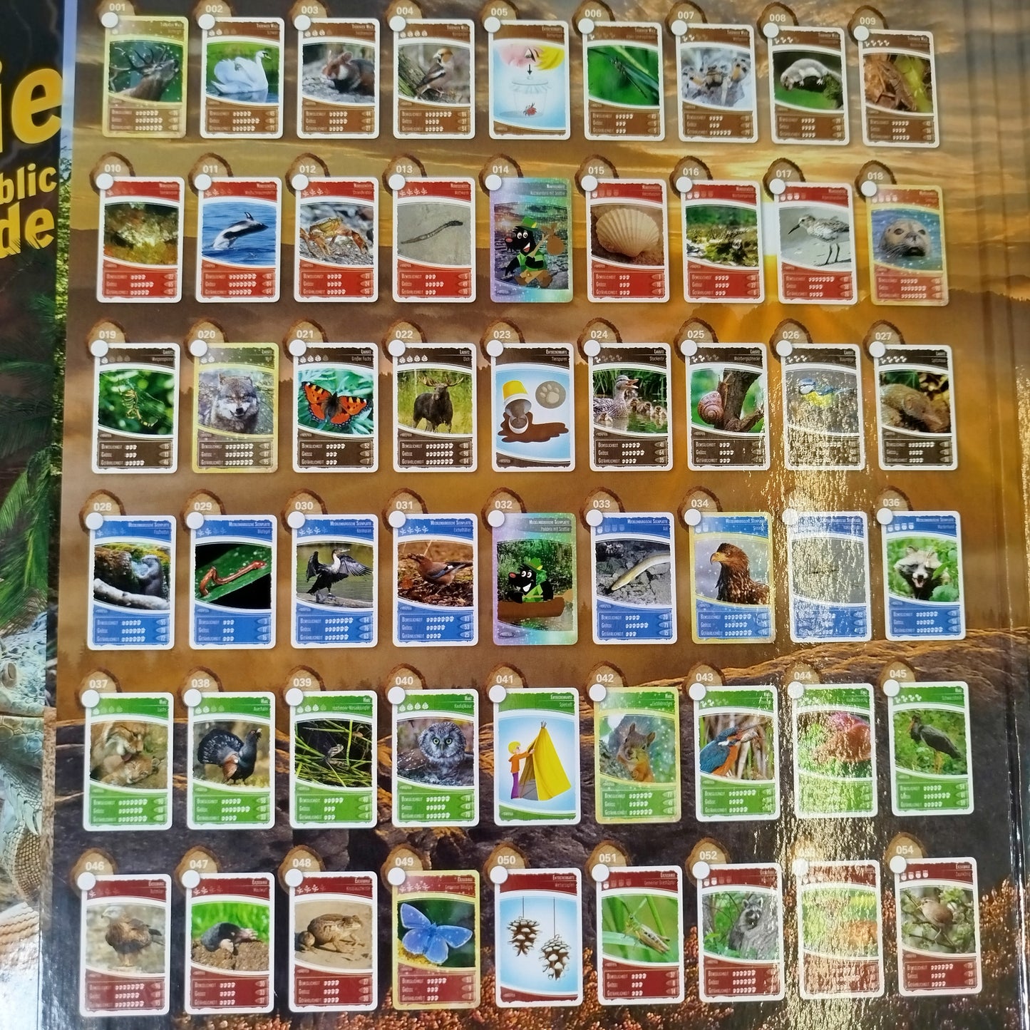 Netto Ozeanien Karten albumset – Set von 3 Alben, guter Zustand