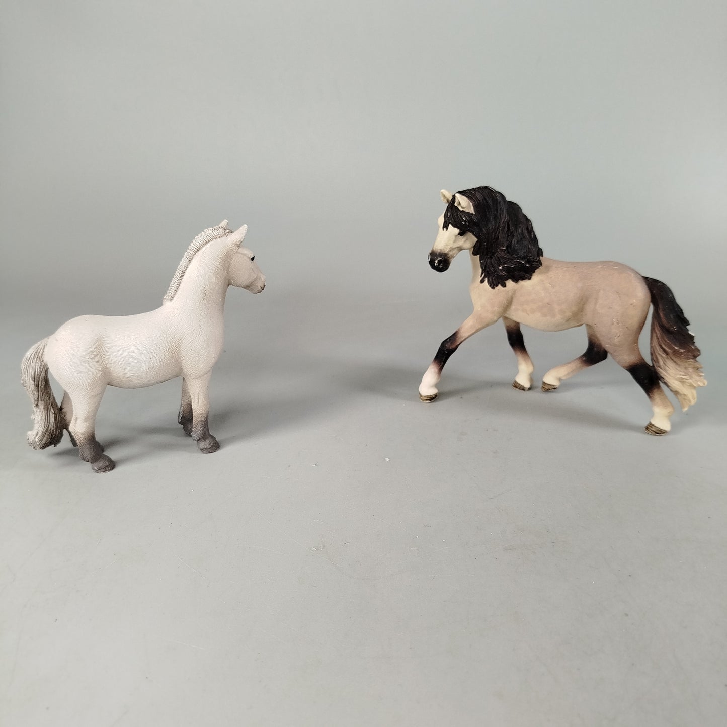 Schleich Bundle Pferde Reiterin Set von 5 Figuren & Zubehör