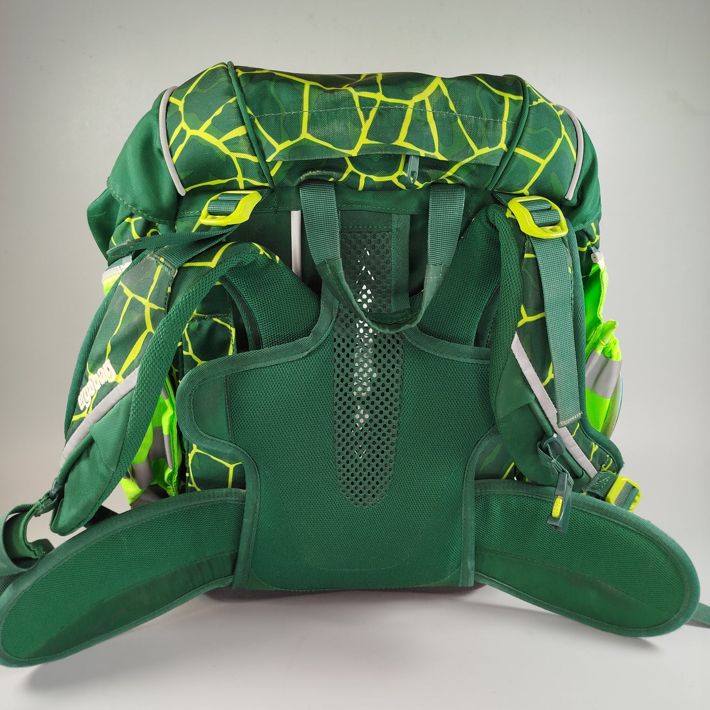 Ergobag Schulrucksack - Dinosaurier-Motiv