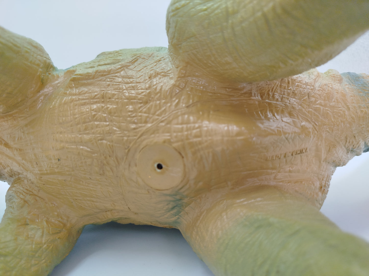 Dinosaurier Set – Triceratops & Spinosaurus