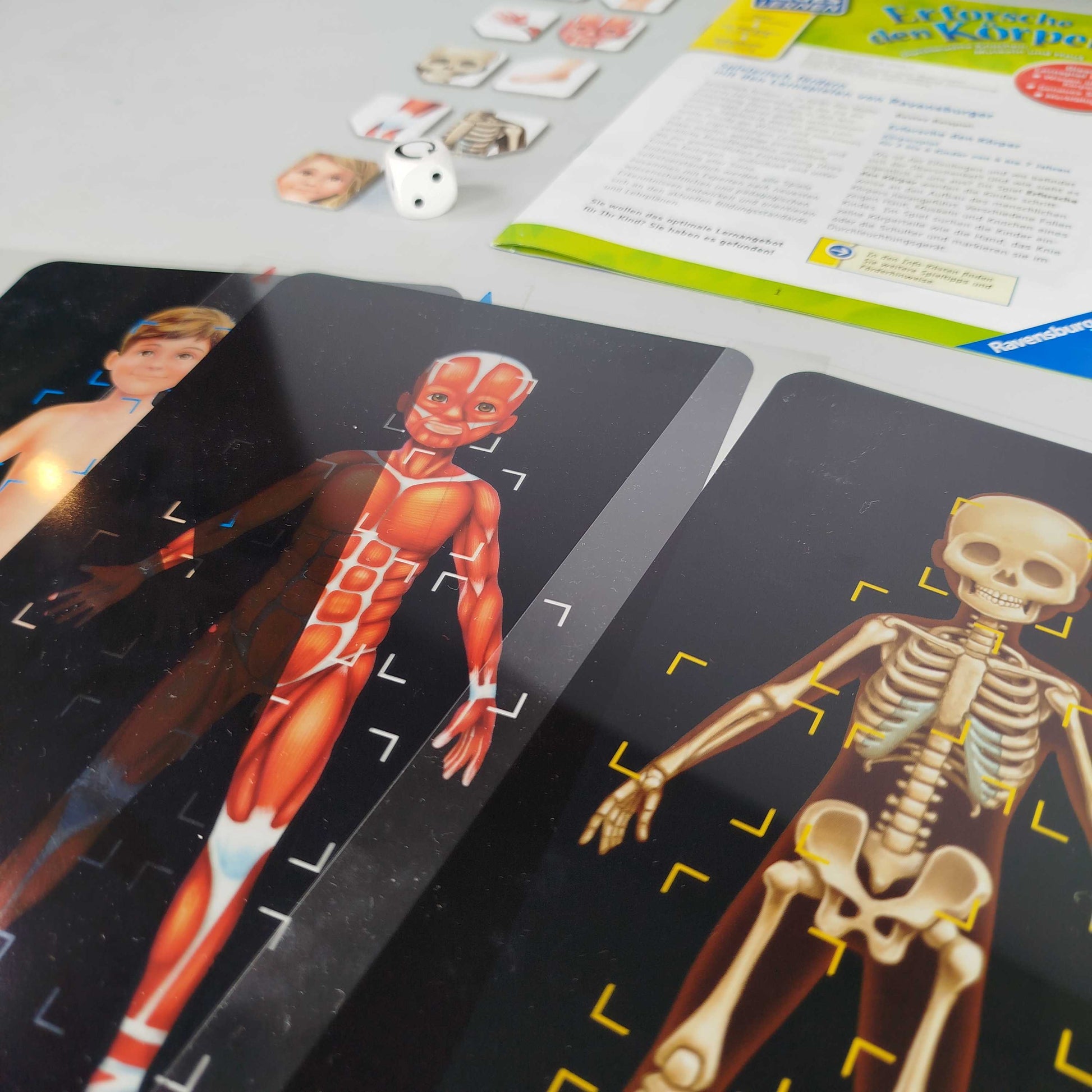 Ravensburger Erforschen-Spiel - Lernen über den Körper