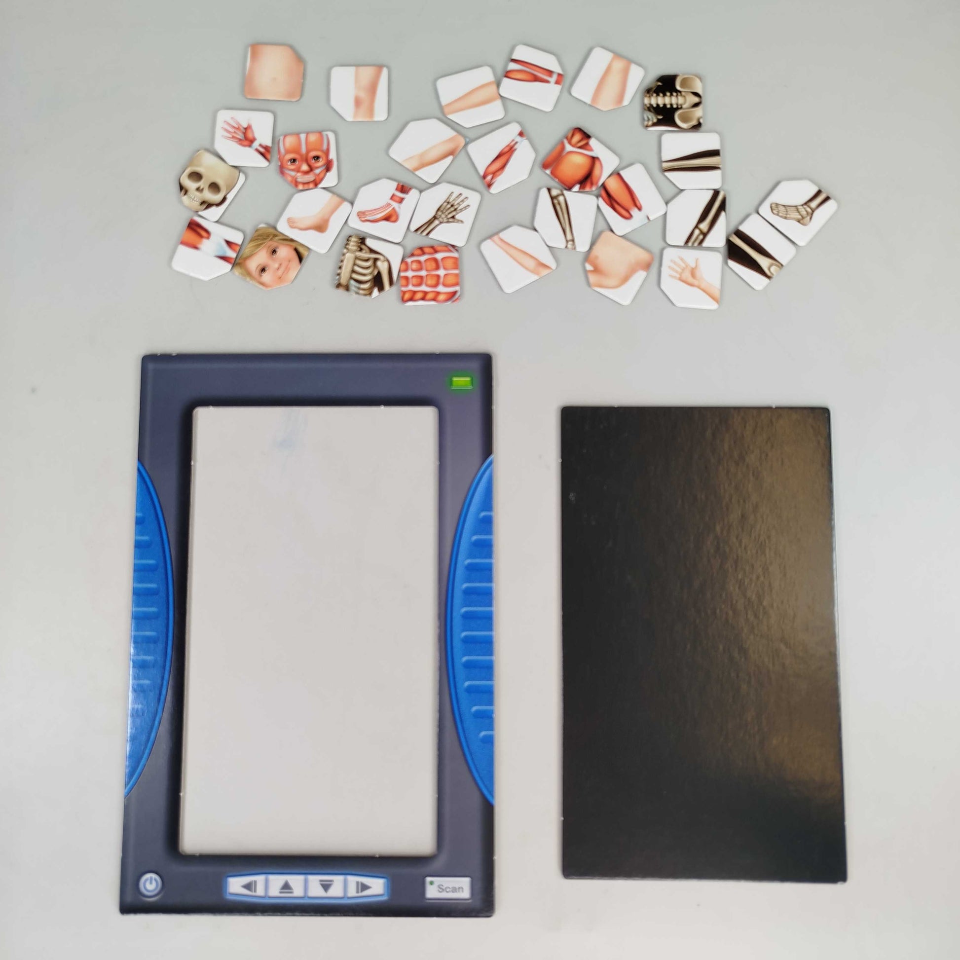 Ravensburger Erforschen-Spiel - Lernen über den Körper