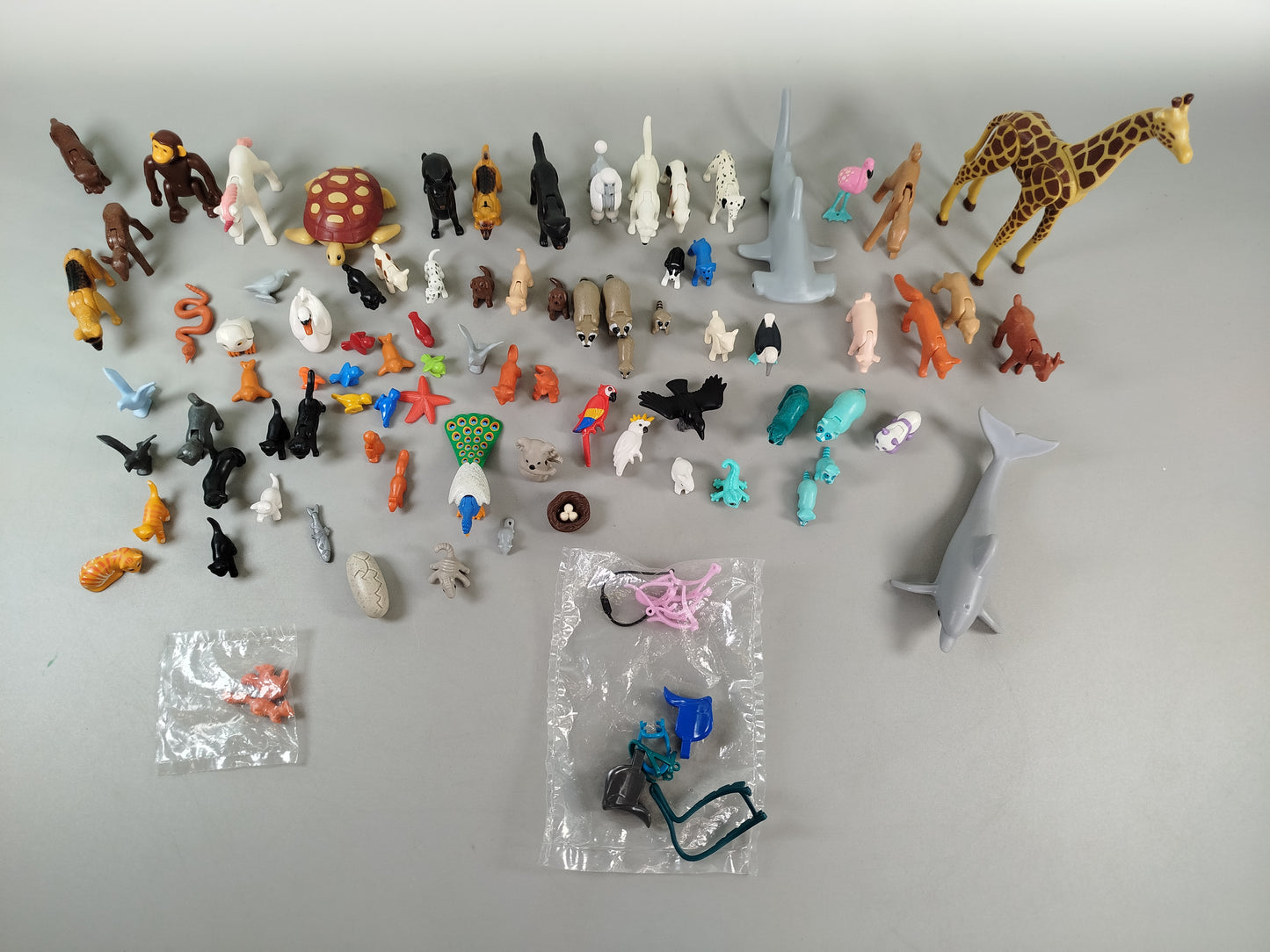 Playmobil Tier- & Dinosaurierfiguren Set