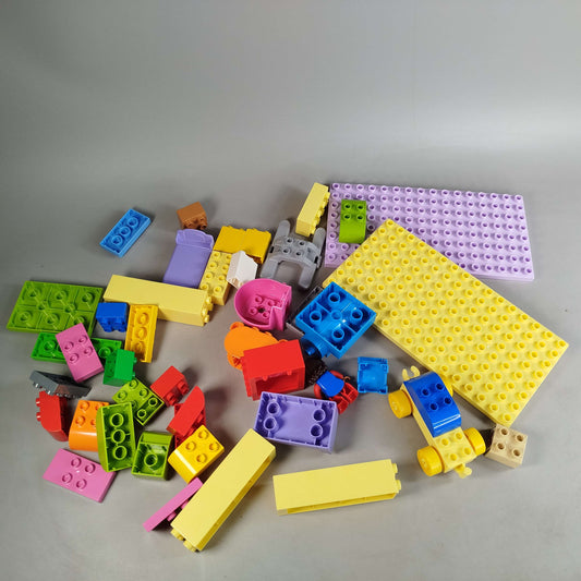 LEGO Bundle Duplo Figur & Steine