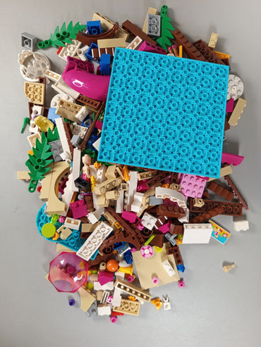 LEGO Bundle Friends 41008 Pool mit Figuren