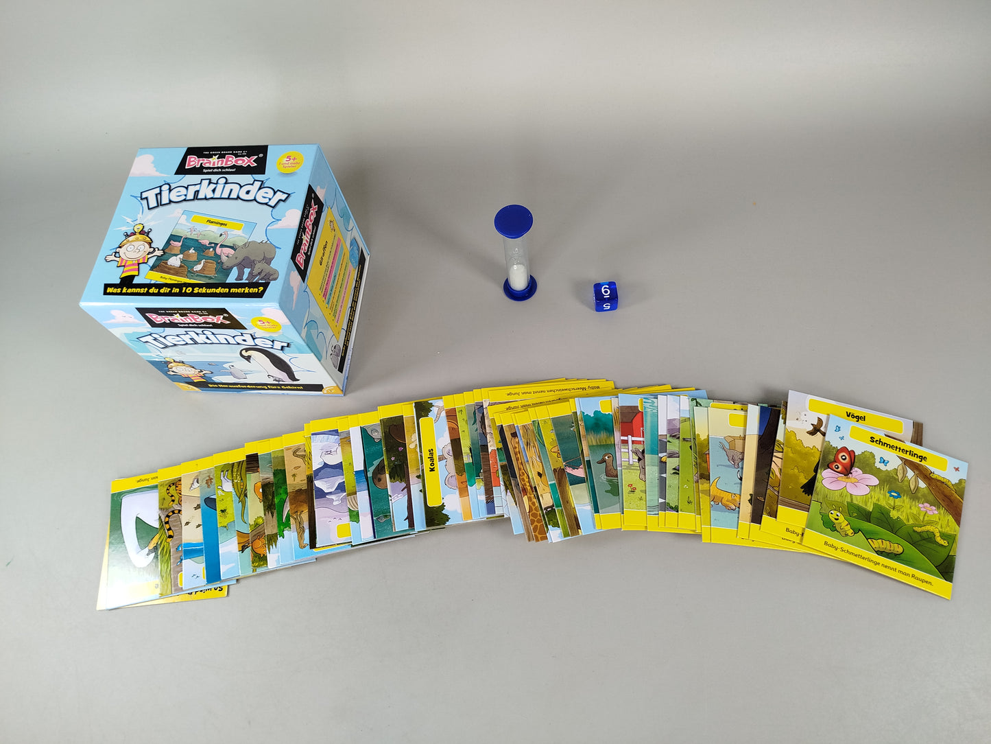 BrainBox Tierkinder Kartenspiel, OVP