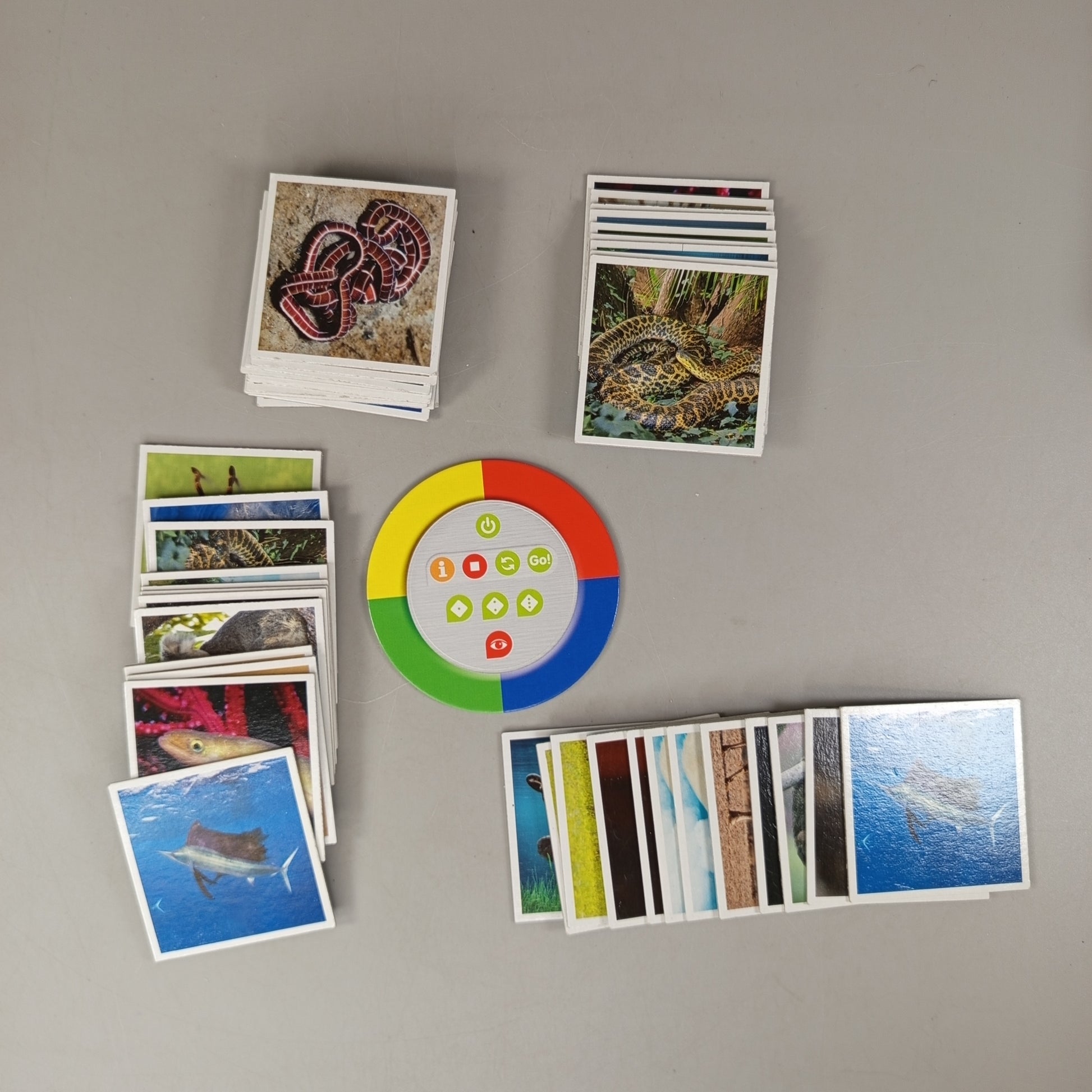 Ravensburger tiptoi Memory-Spiel – Rekorde im Tierreich, OVP