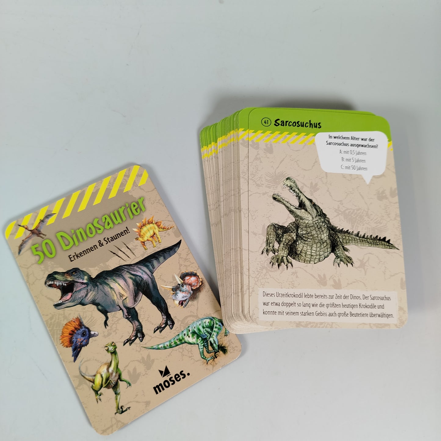 Moses, Djeco Kartenset-Bundle: Dinosaurier, Ritter, Experimente und Piratenspi