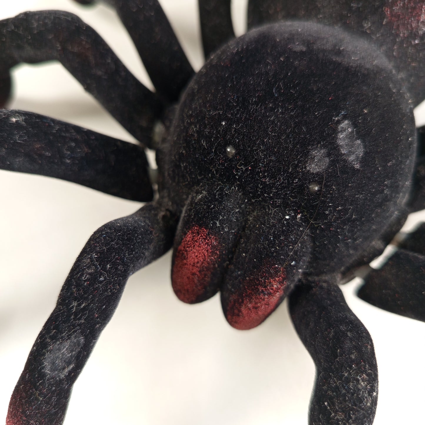 Lexibook Ferngesteuerte Spinne mit Controller – elektronisches Spielzeug