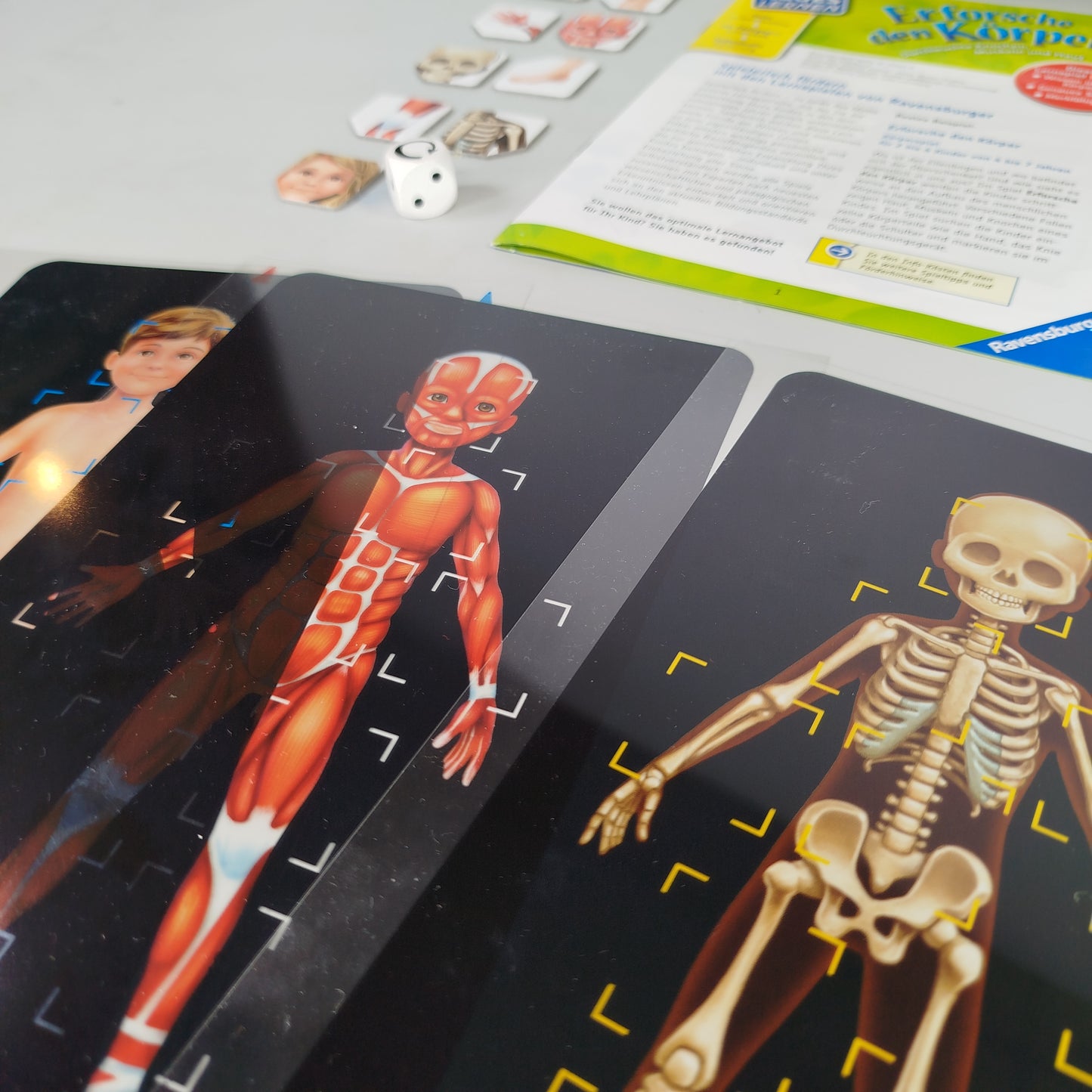 Ravensburger Spieleset: PJ Masks & Erforsche den Körper