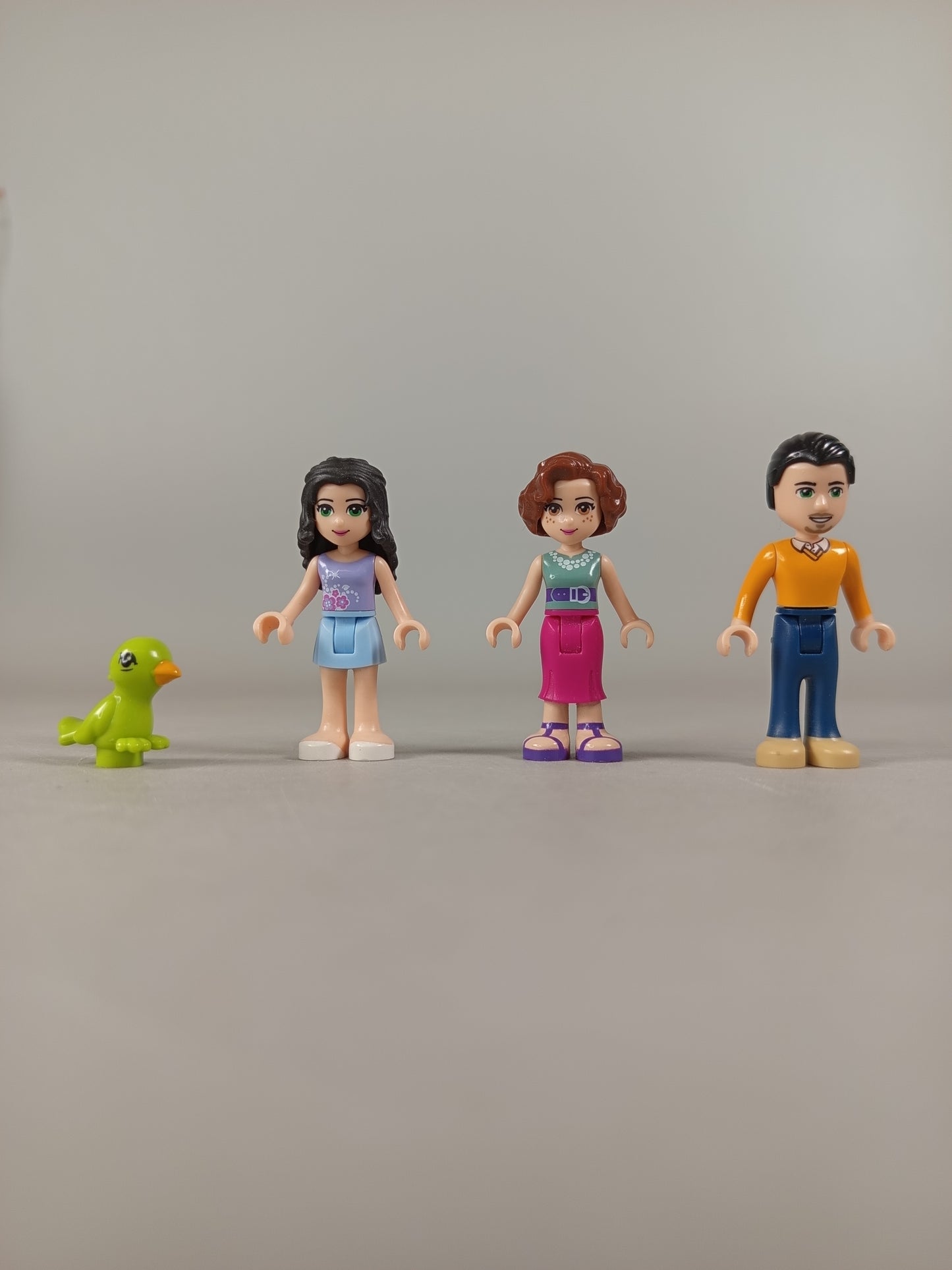 LEGO Bundle Friends 41095 Haus mit Figuren