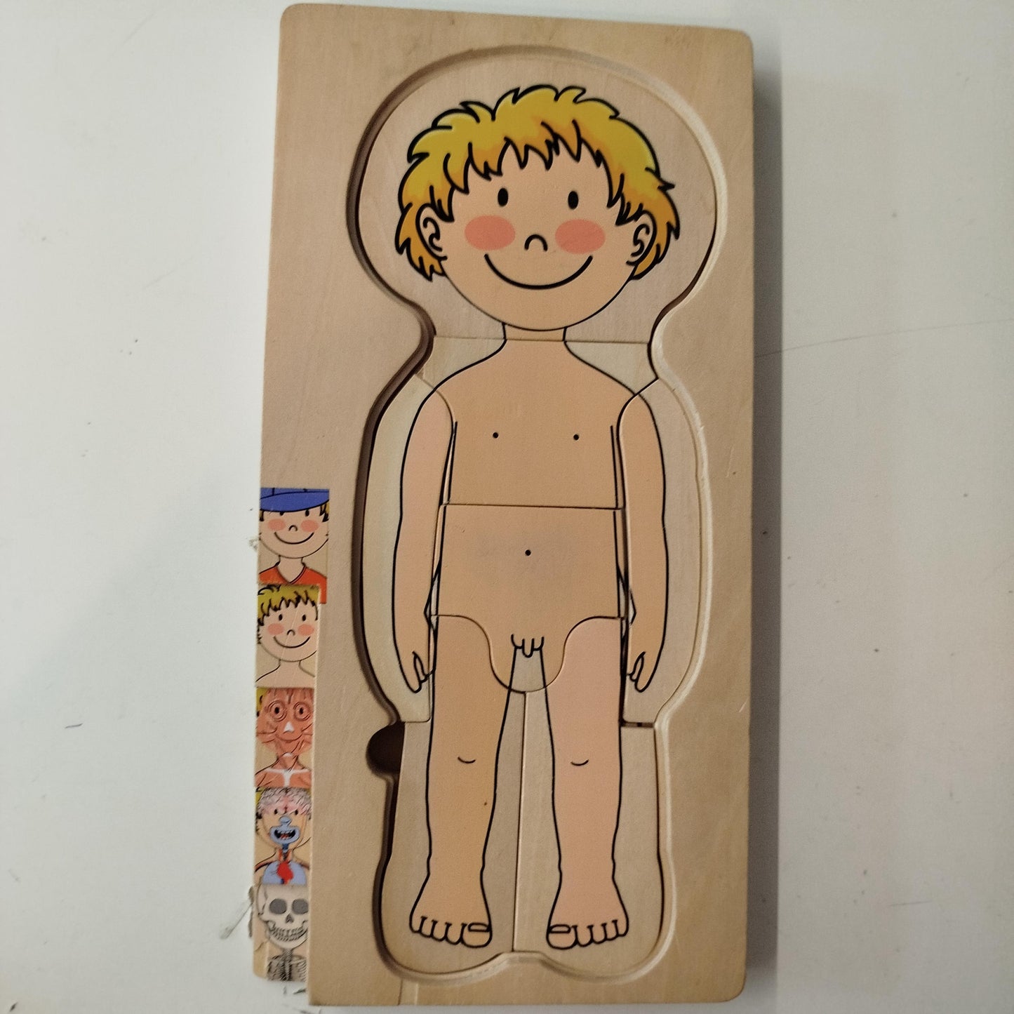 Körperpuzzle Lernspiel - Anatomische Ebenen für Kinder