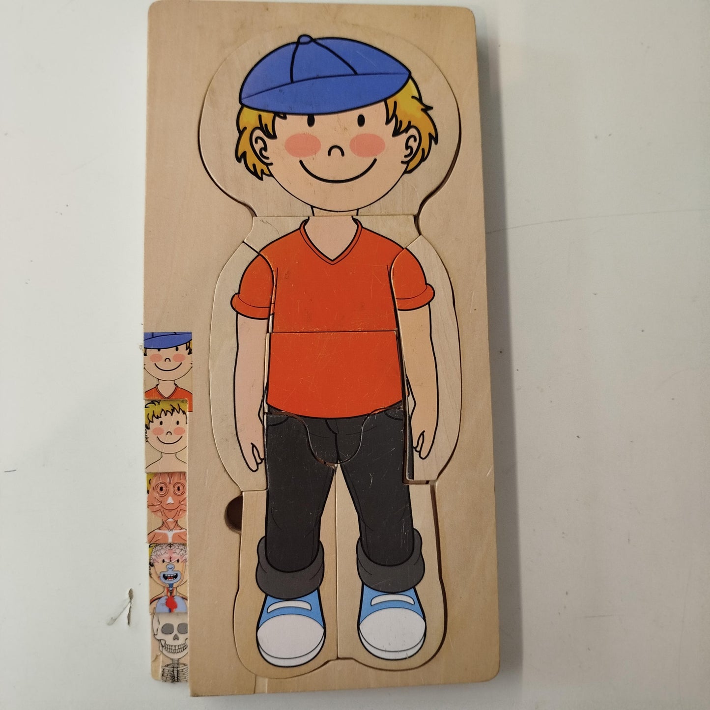 Körperpuzzle Lernspiel - Anatomische Ebenen für Kinder
