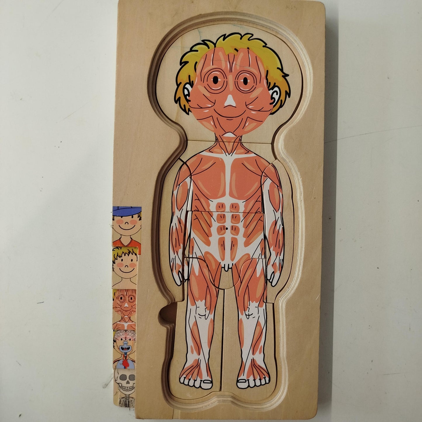 Körperpuzzle Lernspiel - Anatomische Ebenen für Kinder