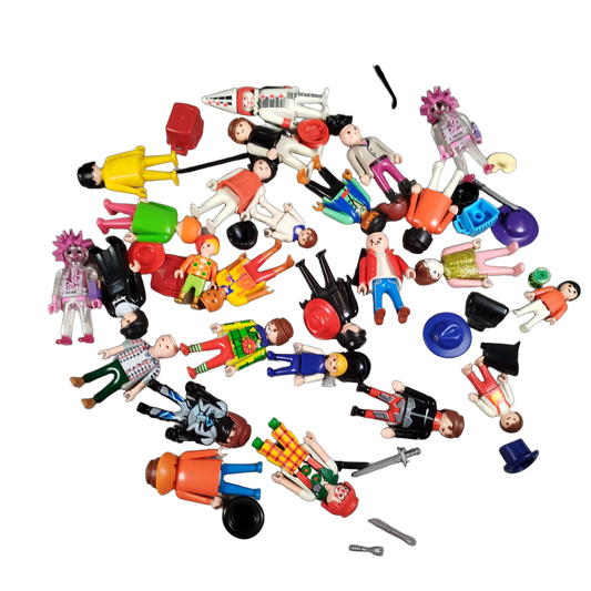 Playmobil Bundle Figuren & Zubehör