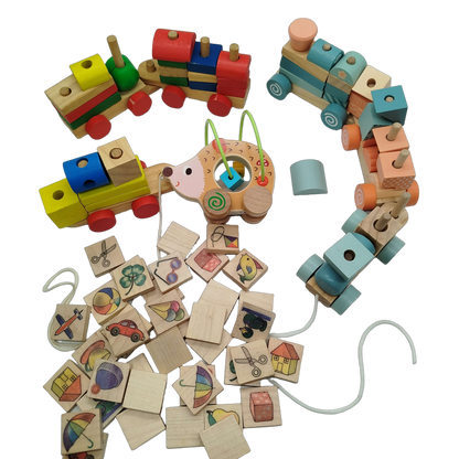 Bundle Holzklötze Set Bausteine & Ziehigel