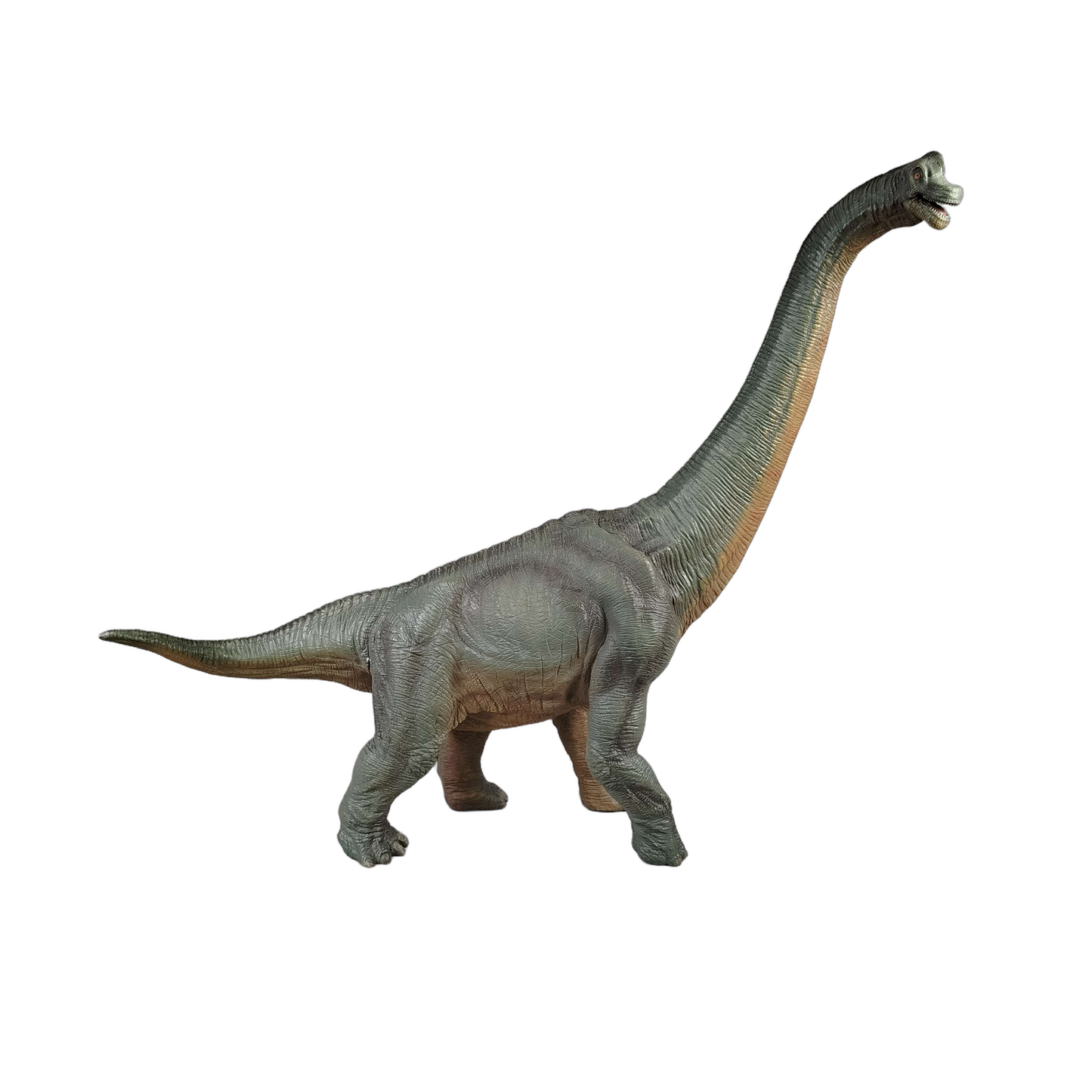 Papo Brachiosaurus Dinosaurier Figur