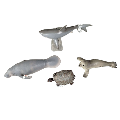 Schleich Bundle Meerestiere 6 Teile Tierfiguren