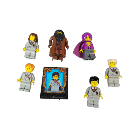 LEGO Bundle Harry Potter Set von 8 Minifiguren, Hund & Fliese