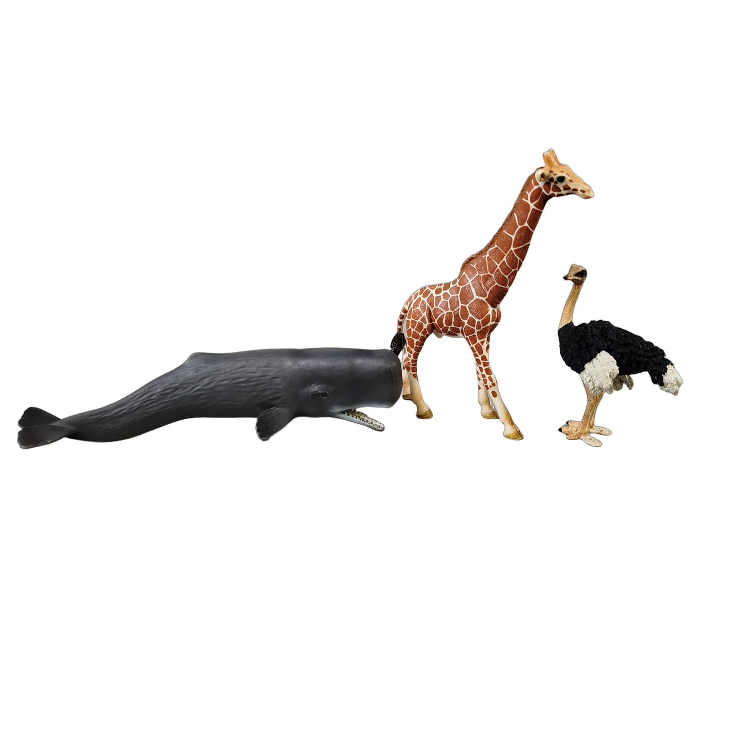 Schleich Tiere Bundle Wildtiere 5 Teile Tierfiguren