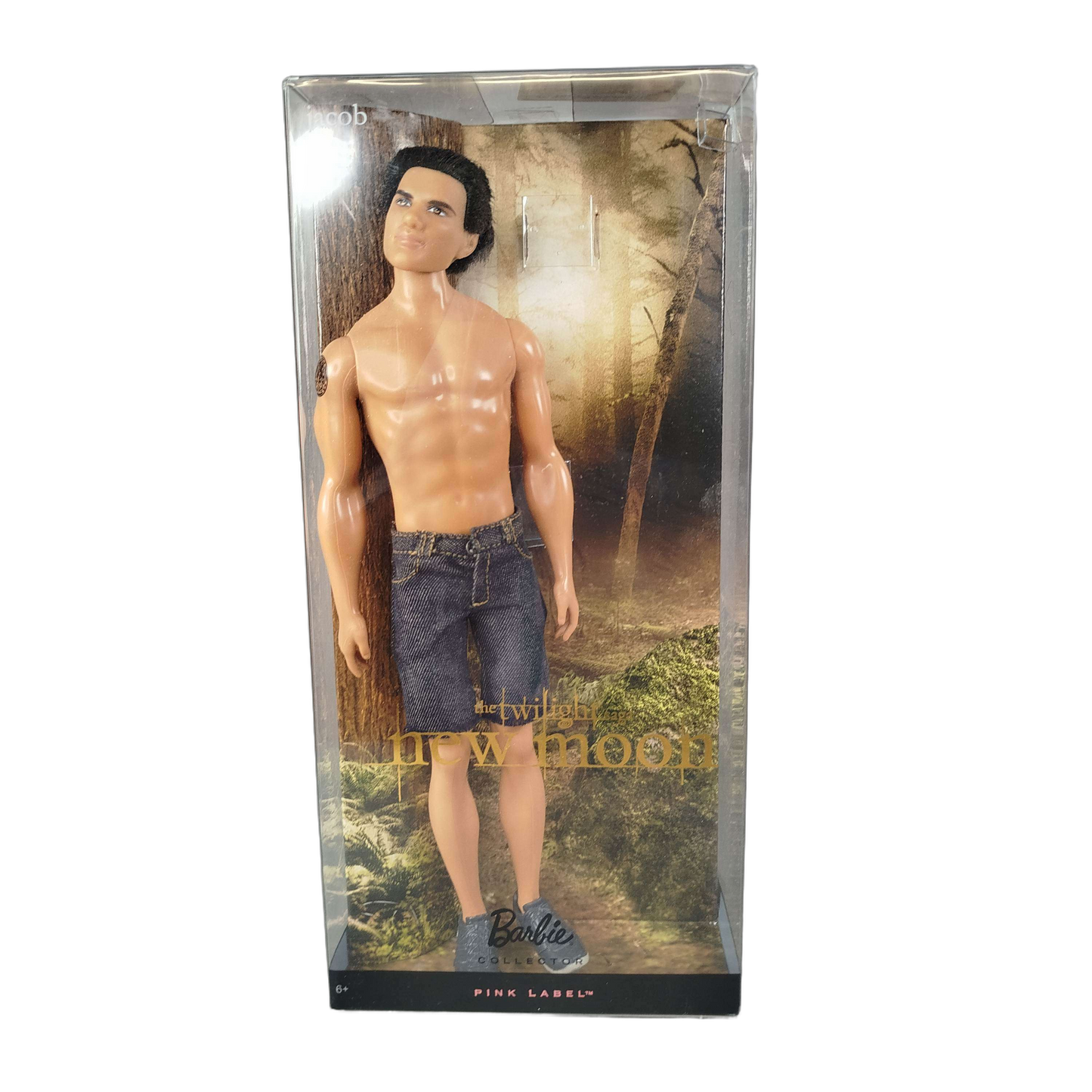 Mattel Barbie Twilight Saga Jacob R9909 Sammelfigur