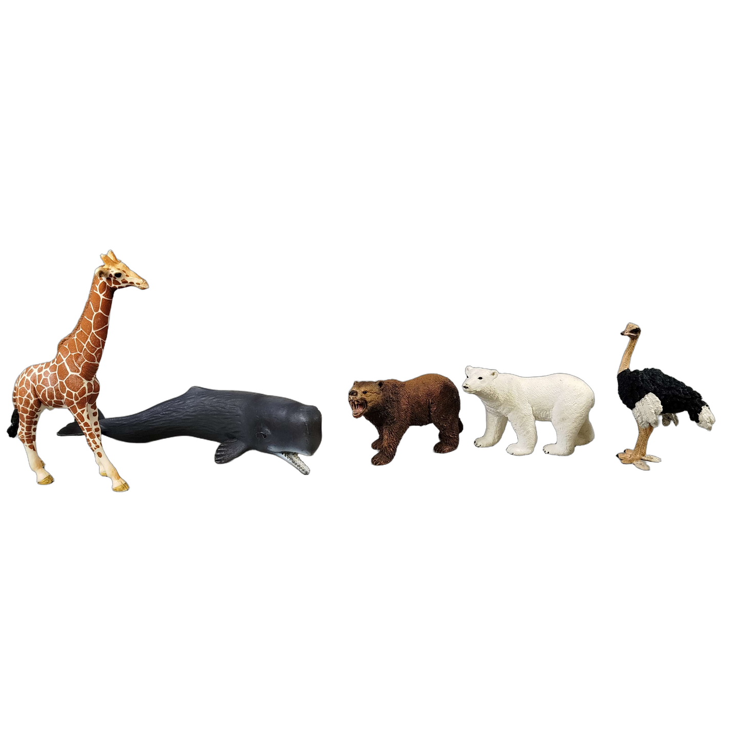 Schleich Tiere Bundle Wildtiere 5 Teile Tierfiguren