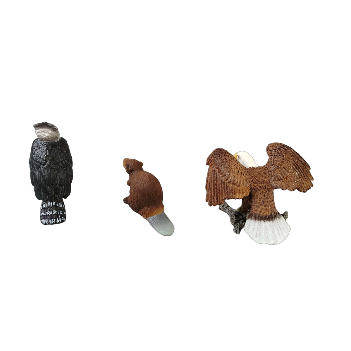 Schleich Tiere Bundle Wildtiere & Vögel Adler 6 Teile Tierfiguren