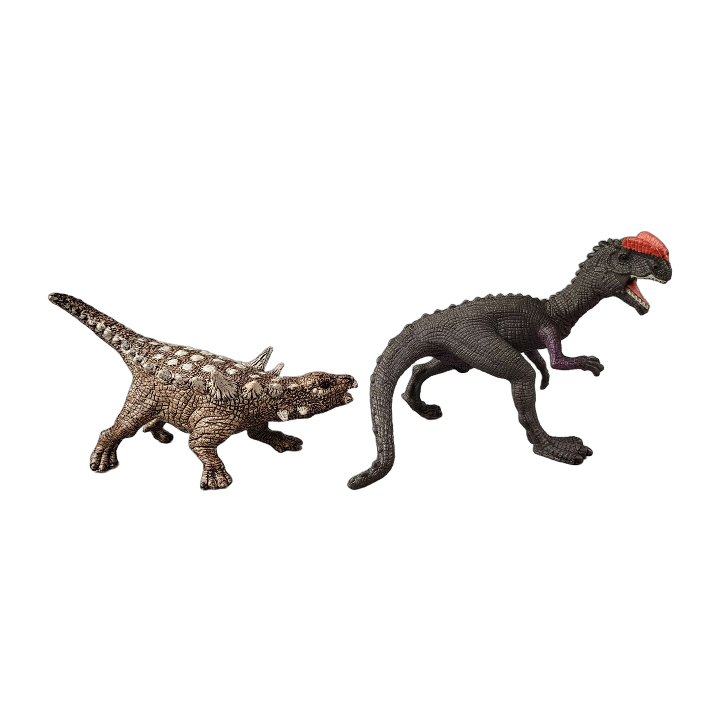 Schleich Bundle Dinosaurier 4 Teile Carnotaurus Brachiosaurus