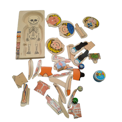 Delta-Sport Handelskontor GmbH Bundle Anatomie 3x Holzpuzzle