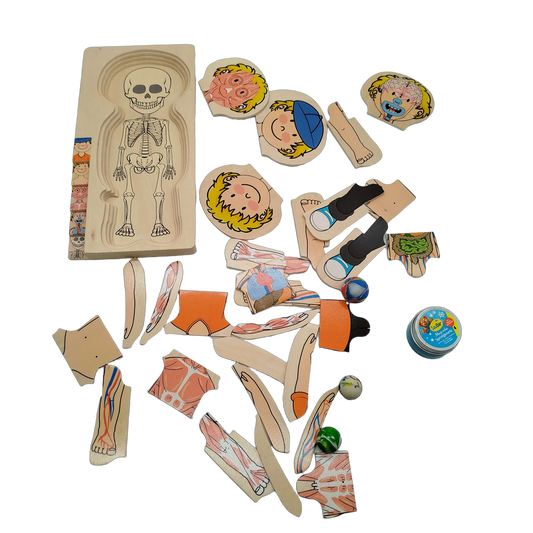 Delta-Sport Handelskontor GmbH Bundle Anatomie 3x Holzpuzzle