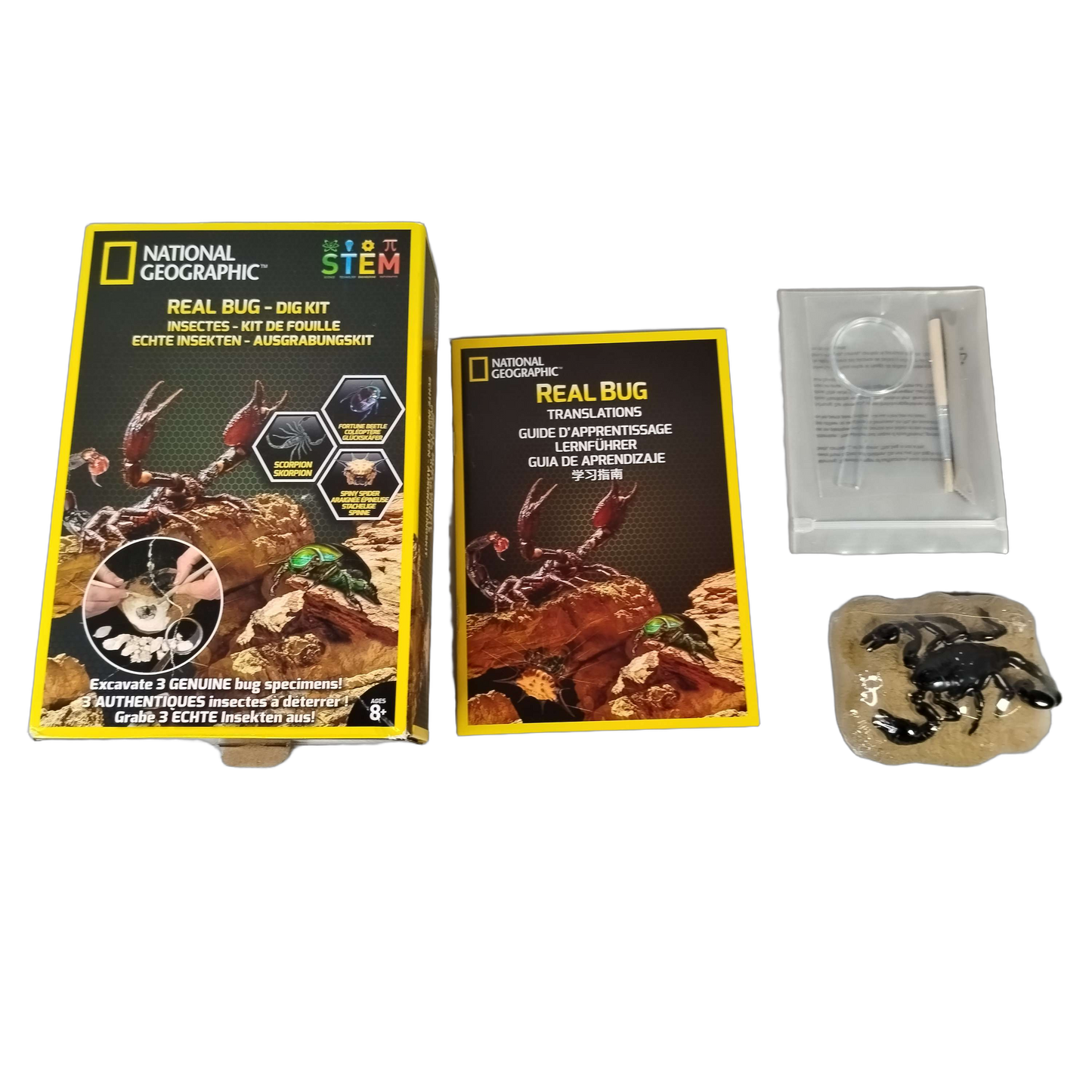 National Geographic Real Bug Dig Kit Ausgrabungsset