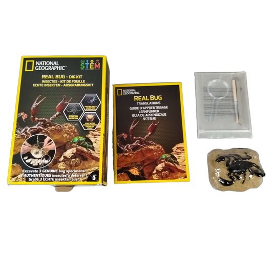 National Geographic Real Bug Dig Kit Ausgrabungsset