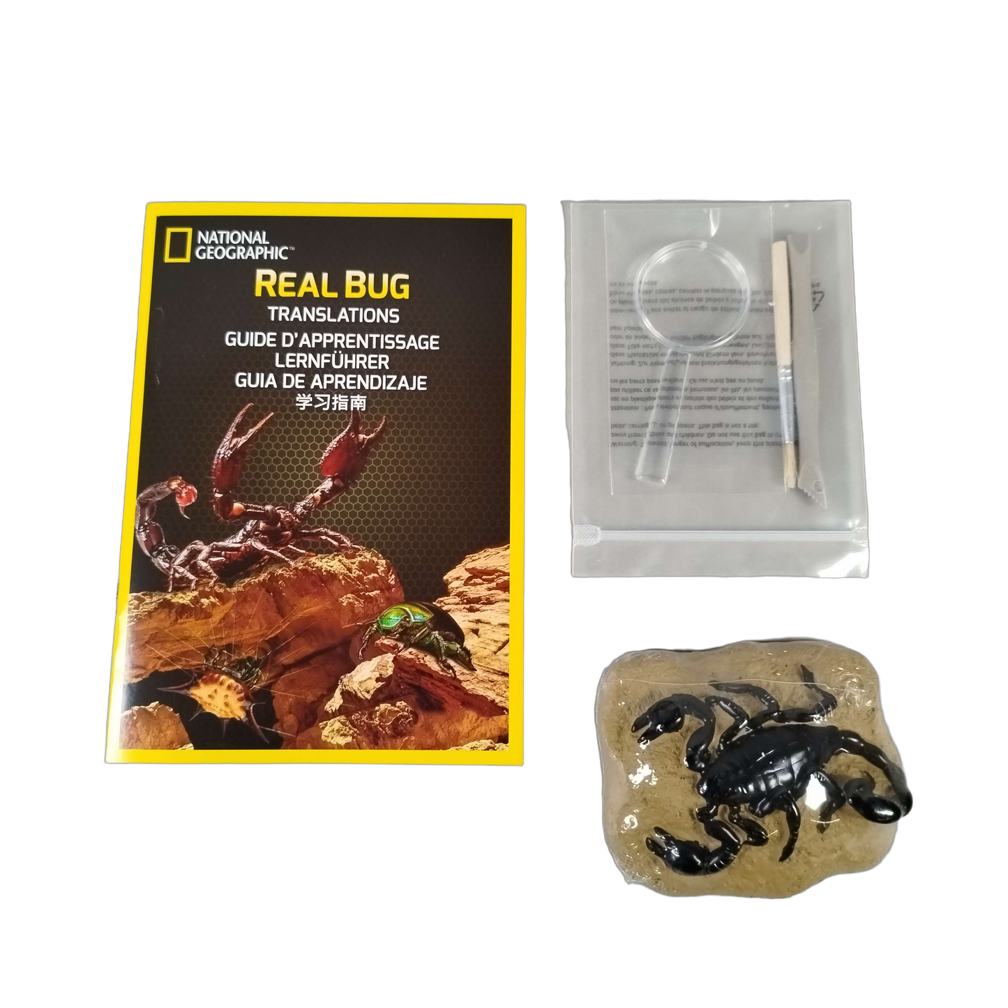 National Geographic Real Bug Dig Kit Ausgrabungsset