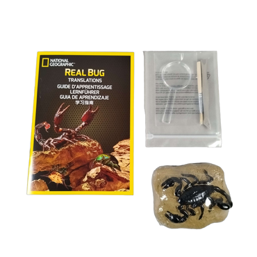 National Geographic Real Bug Dig Kit Ausgrabungsset