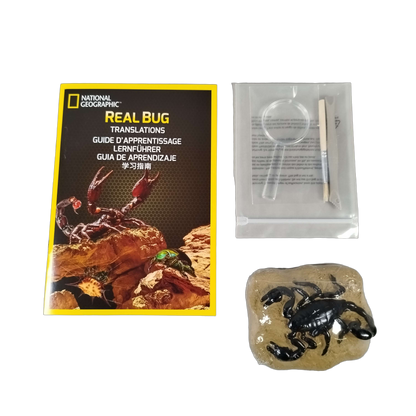 National Geographic Real Bug Dig Kit Ausgrabungsset