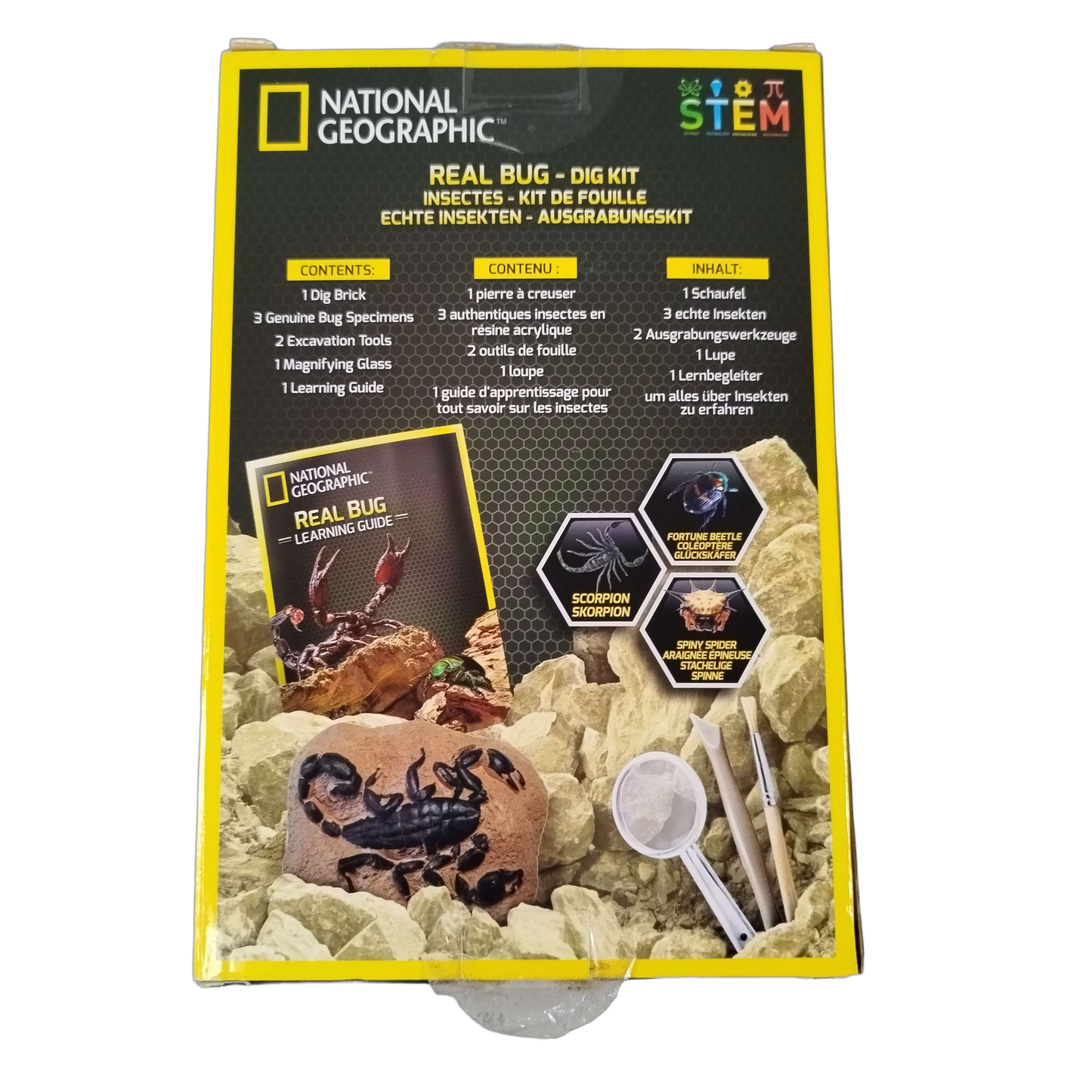 National Geographic Real Bug Dig Kit Ausgrabungsset