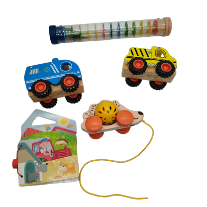 HABA Bundle Set von 5 Holzspielzeug Ziehigel & Sortierhaus