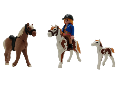 Playmobil Pferdekoppel 5227 Spielset Reiten & Bauernhof