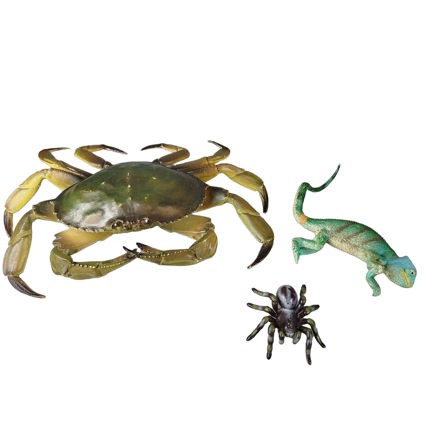 Bundle Tiere Set von 3 Krabbe Chamäleon Spinne