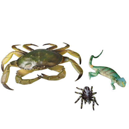 Bundle Tiere Set von 3 Krabbe Chamäleon Spinne