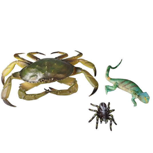 Bundle Tiere Set von 3 Krabbe Chamäleon Spinne